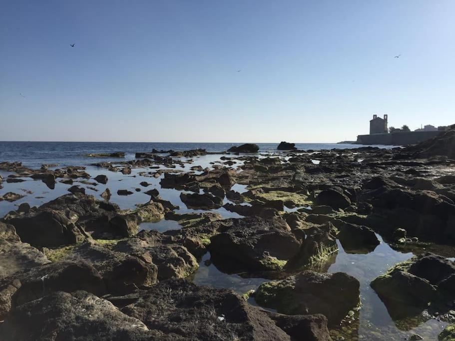 Carpediem Apart Terraza-Atico Alicante Center Εξωτερικό φωτογραφία
